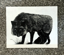 Load image into Gallery viewer, Grey Fox